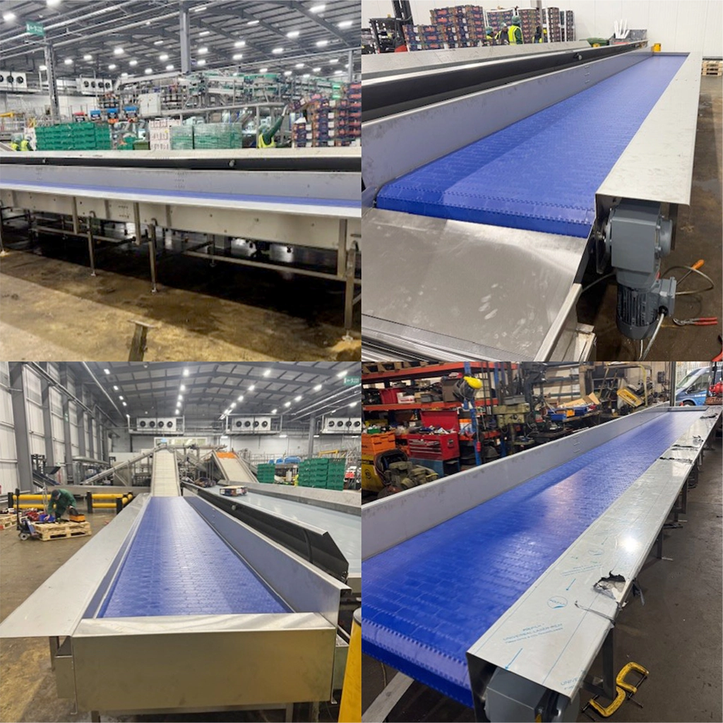 CMS Conveyors Delivers a Custom 9m Stainless Steel Framed Modular Belt Conveyor for Citrus Fruit Sortation Line